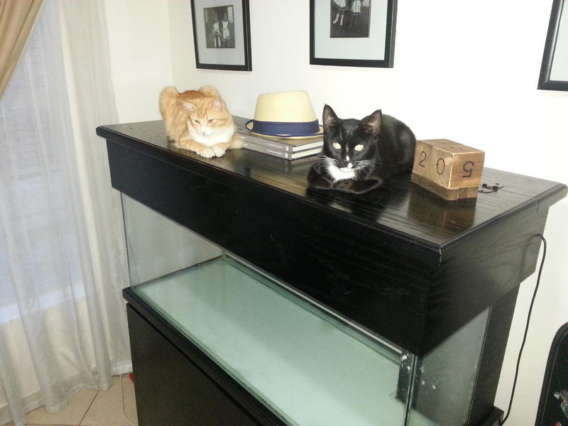 20131119_183051.jpg