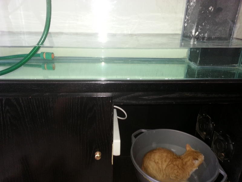 20131124_102718.jpg