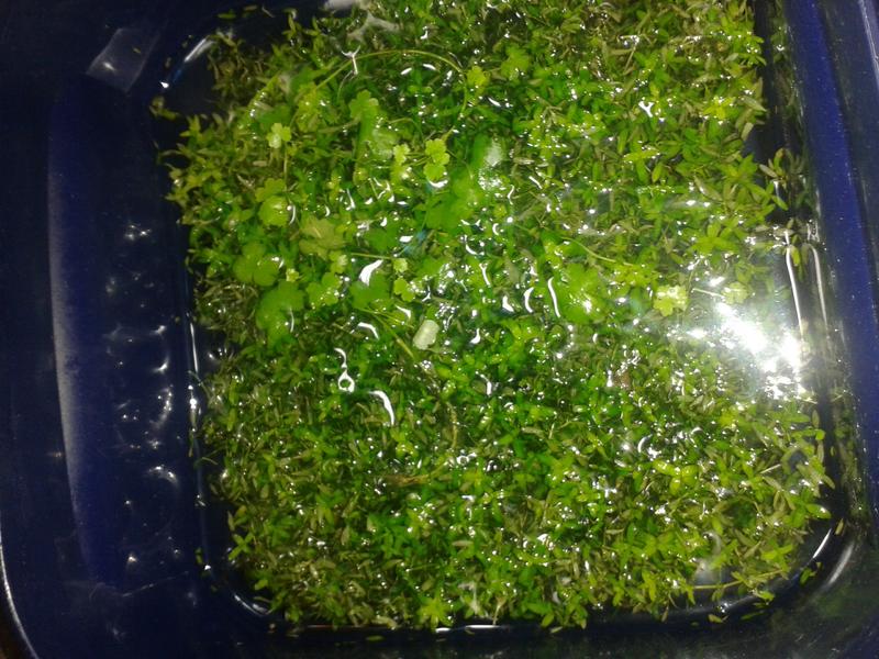 20131208_155021.jpg