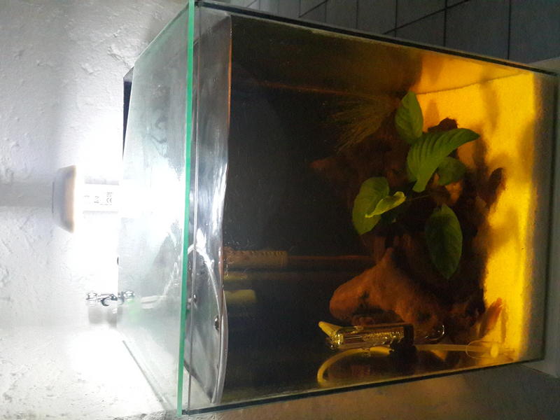 20140117_061122.jpg