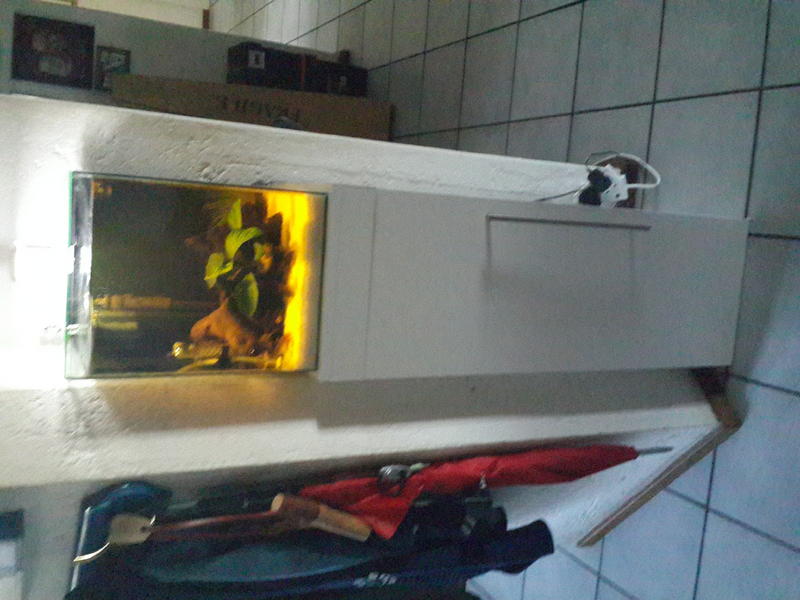 20140117_061129.jpg