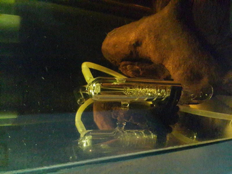 20140117_061137.jpg