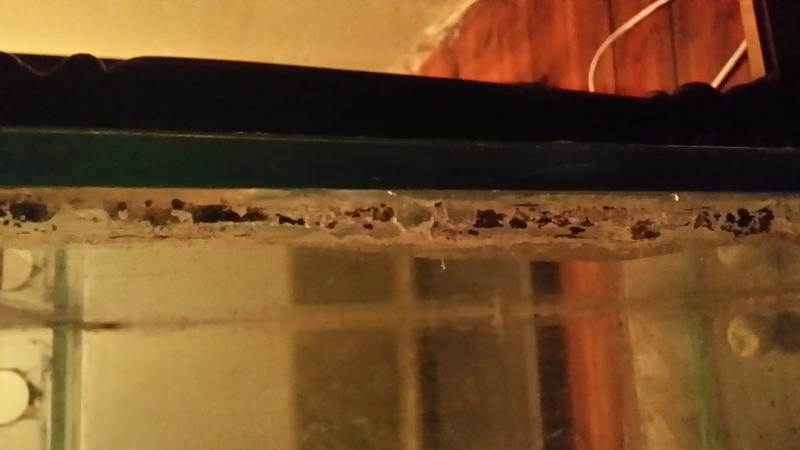 20140519_194803.jpg