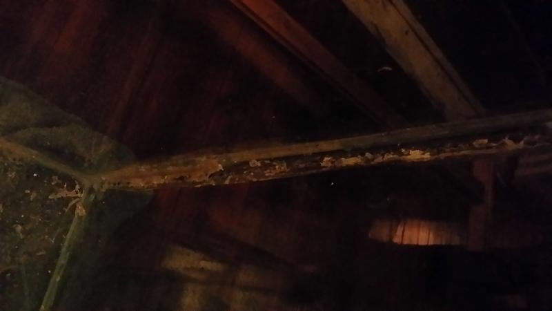 20140519_194828.jpg