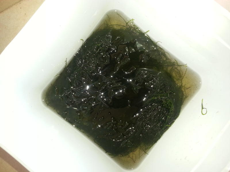 20140531_120049.jpg