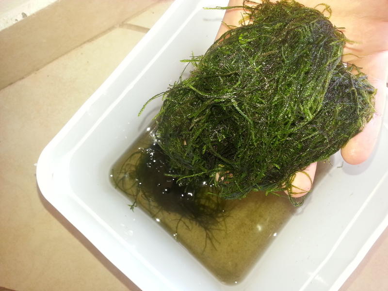 20140531_120104.jpg