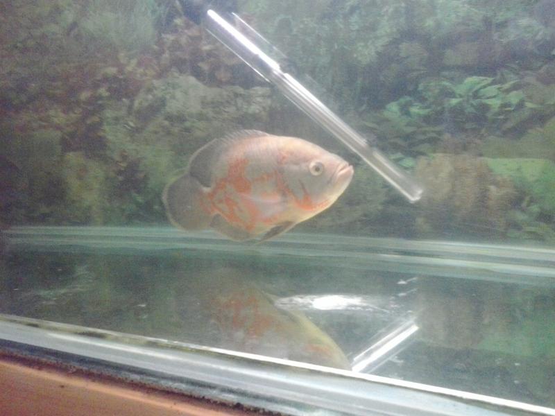 20141011_201120.jpg