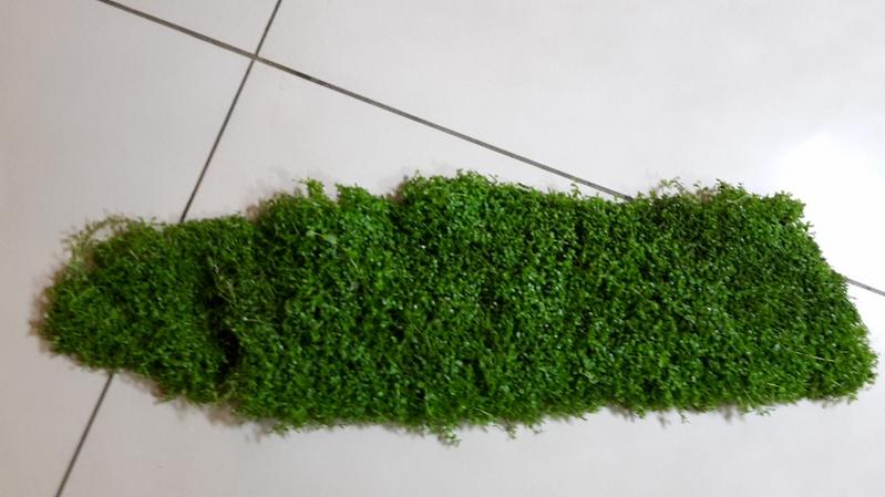 20141015_194930 (800x450).jpg