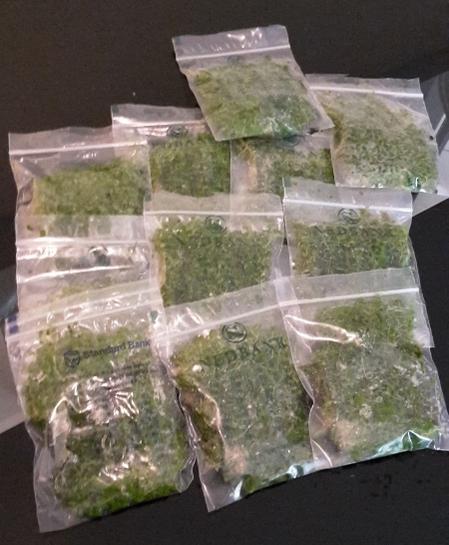 20141016_172435 (450x800).jpg