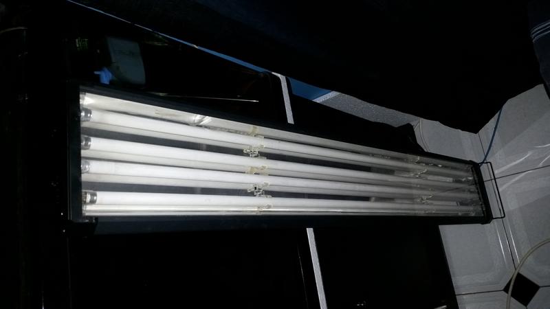 20141203_203434.jpg