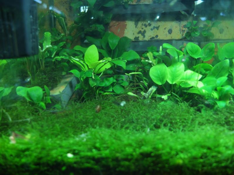 2015-12-29b.jpg