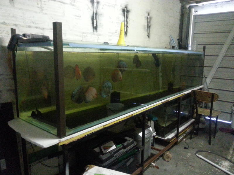 20150114_133434.jpg