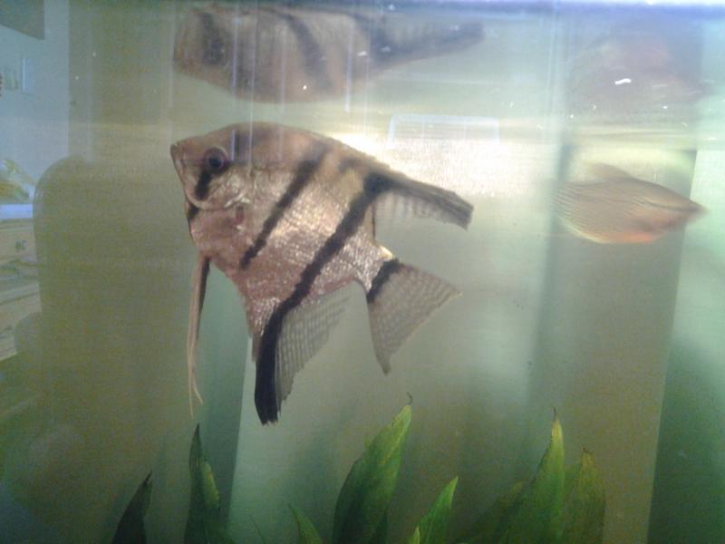 20150211_153702.jpg