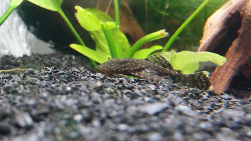 20151028_204841.jpg