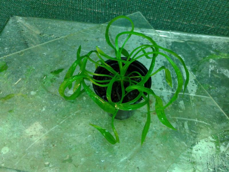 20160316_101103.jpg