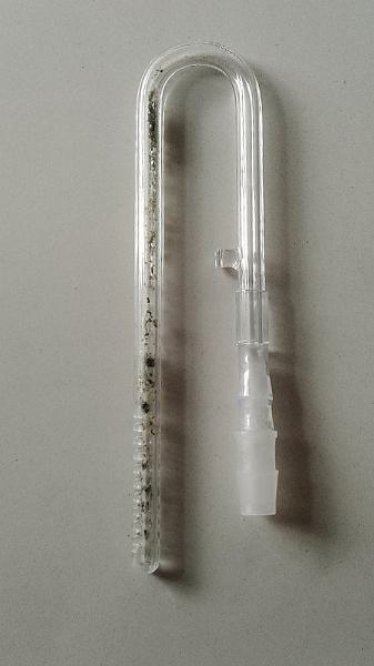 20160316_140809 (1024x614).jpg