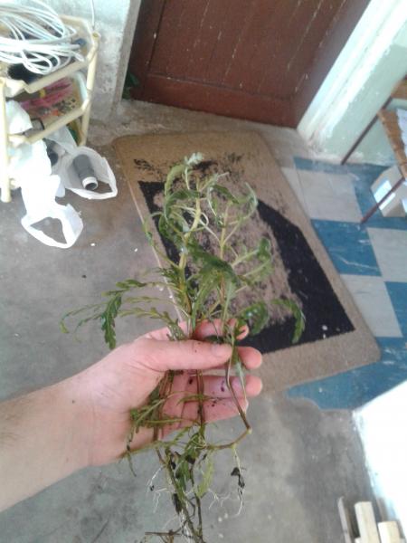 20160330_093838.jpg