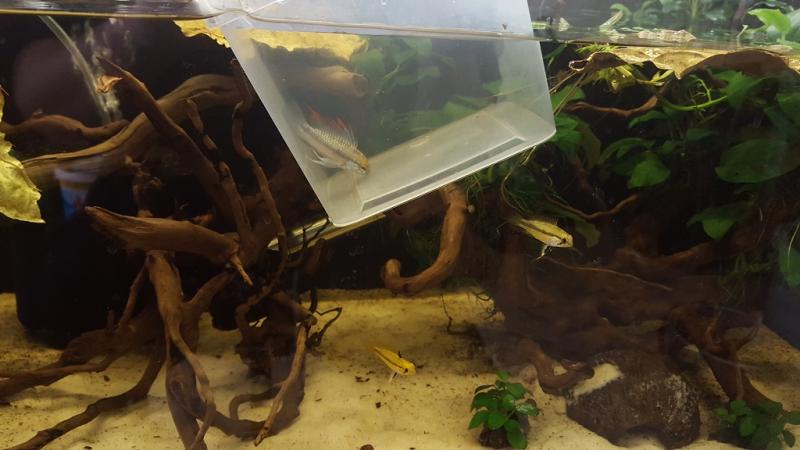 20160515_144527.jpg