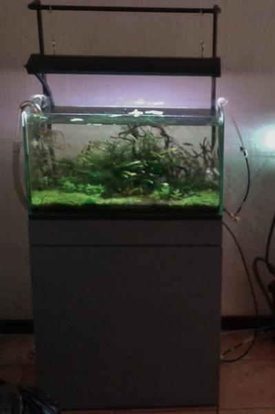 20160521_150833 (426x640).jpg