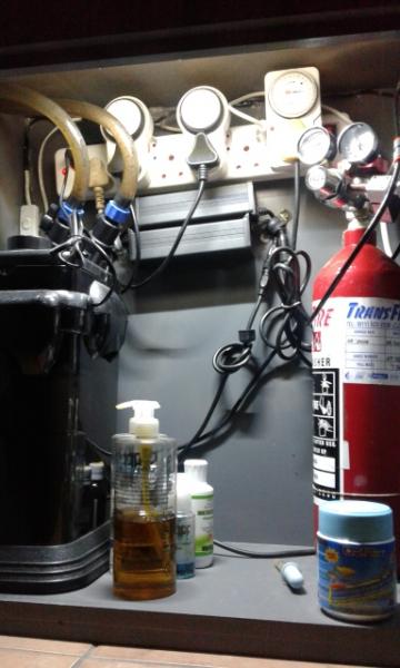 20160521_190057 (384x640).jpg