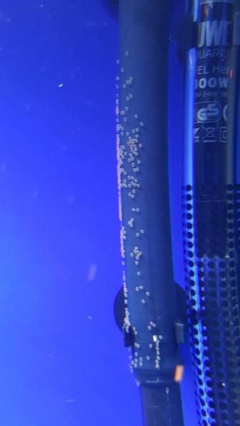 20160718_062626.jpg