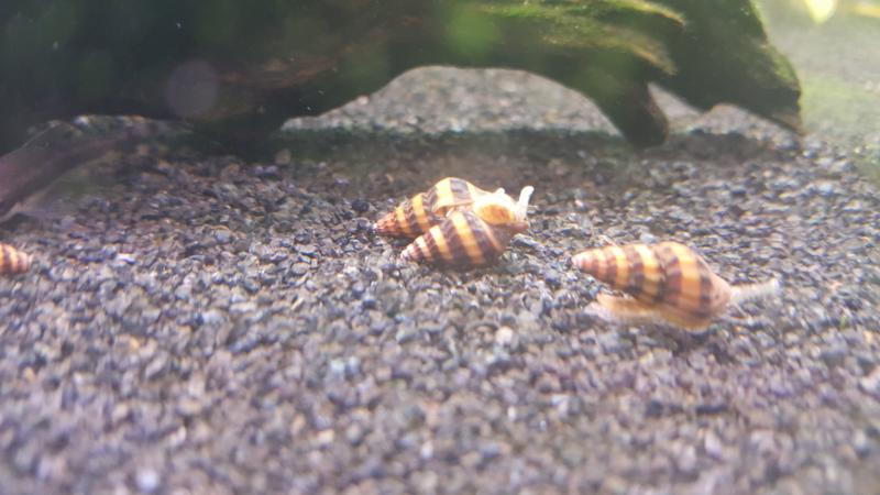 20160822_151247.jpg