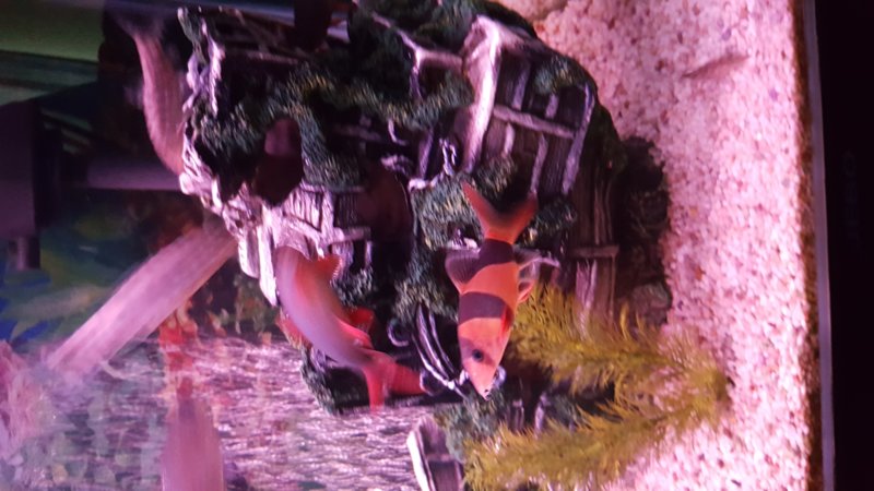 20161116_171210.jpg