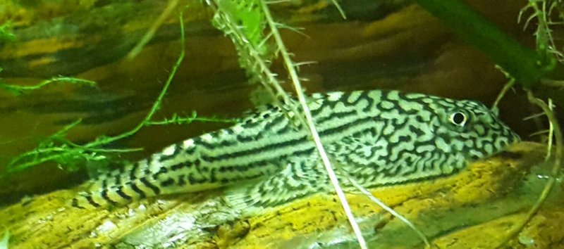 20170528_205046.jpg