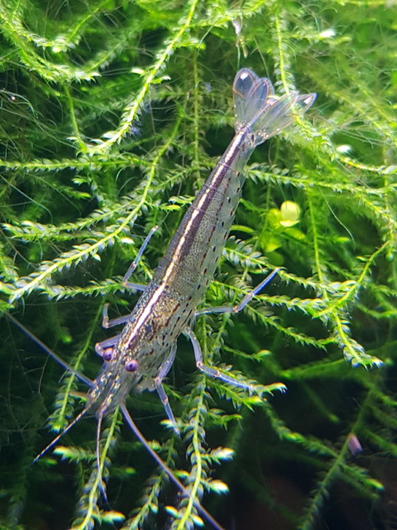 20180325_181529.jpg