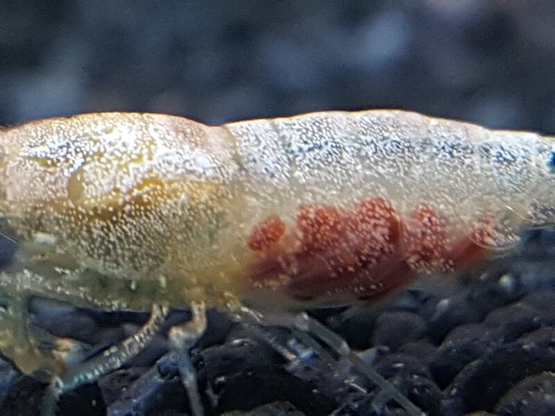 20180328_183954.jpg