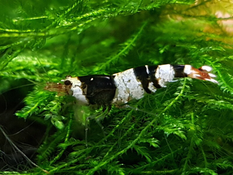 20180329_201746.jpg