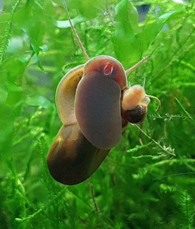 20180509_190350.jpg