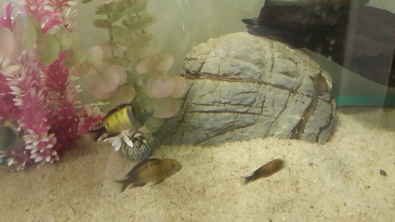 20180511_154118.jpg