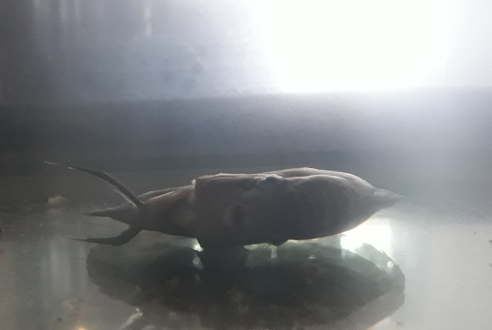 20180512_122749.jpg
