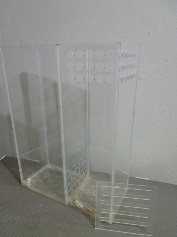 20190415_201456.jpg
