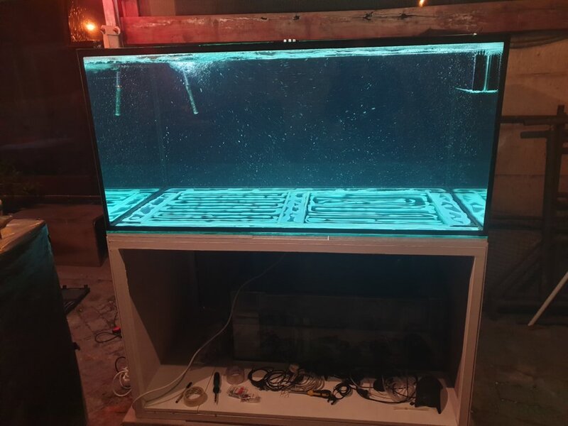 20190619_201100.jpg