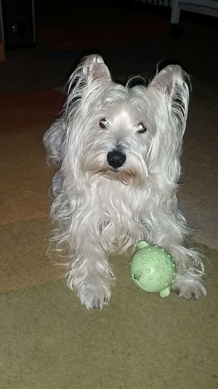 2020 08 19_193548.jpg