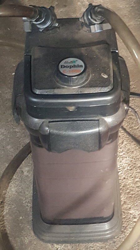 20200119_173805.jpg