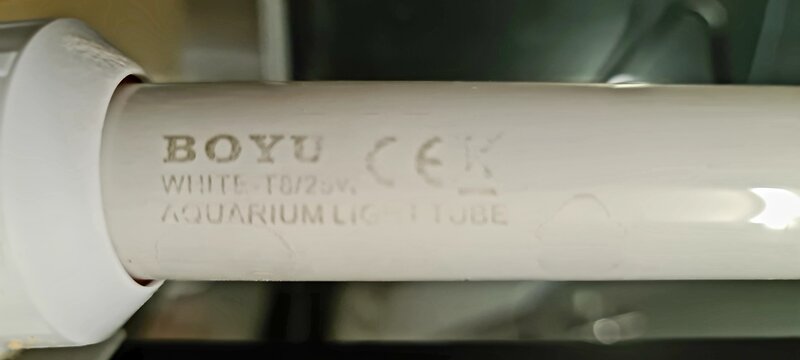 20200607_160955.jpg