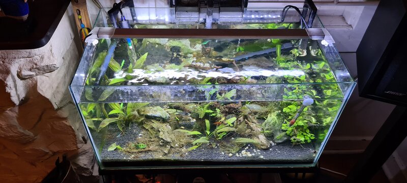20200724_174047.jpg