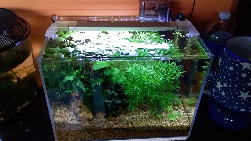 20201211_141854.jpg