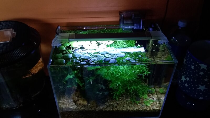 20201211_142600.jpg