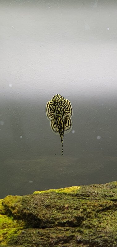20220114_140038.jpg
