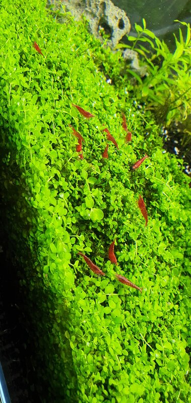 20220114_143923.jpg