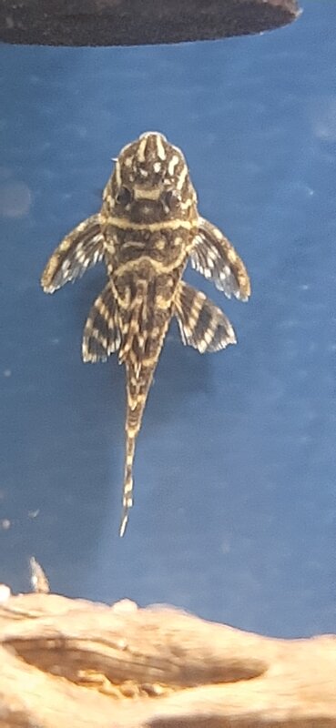 20220121_210143.jpg