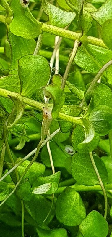 20220213_201101.jpg