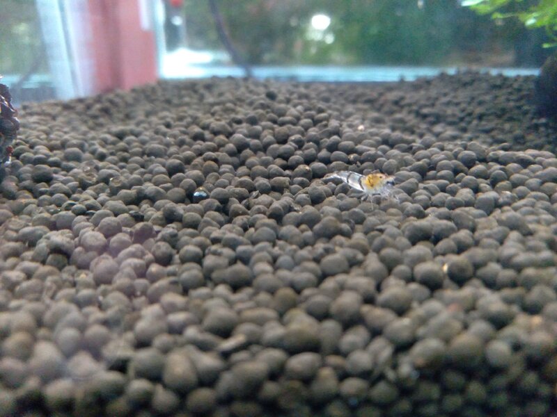 20220507_164237.jpg