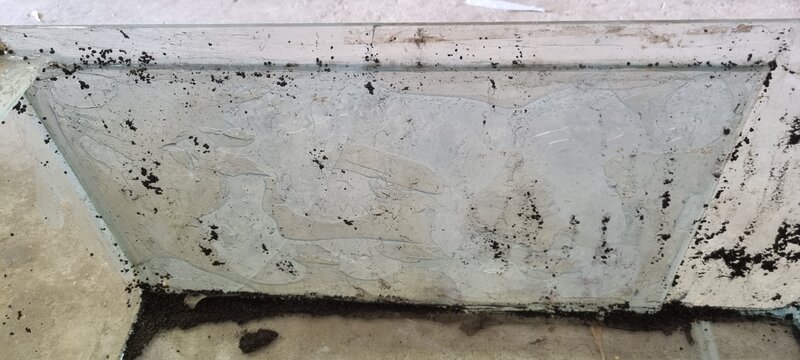 20221105_110148.jpg