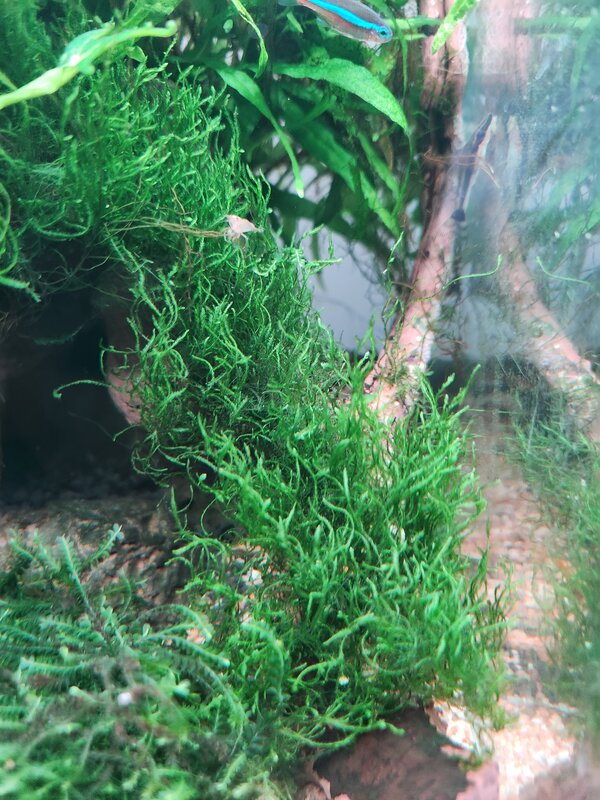 20230227_201348.jpg