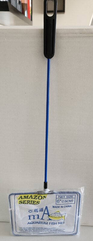 20230408_160909.jpg